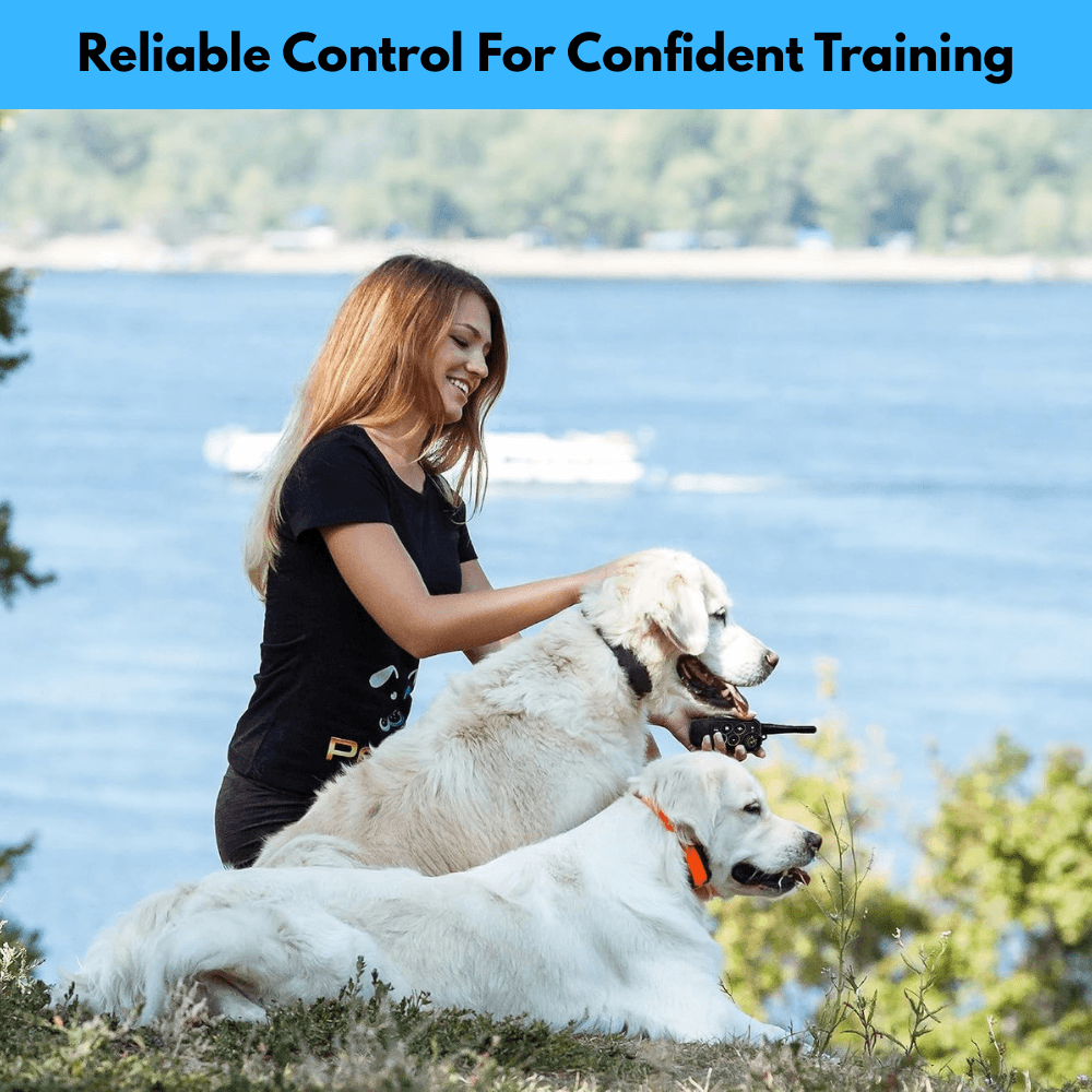 1000m Waterproof Dog Training E-Collar | Revangiol