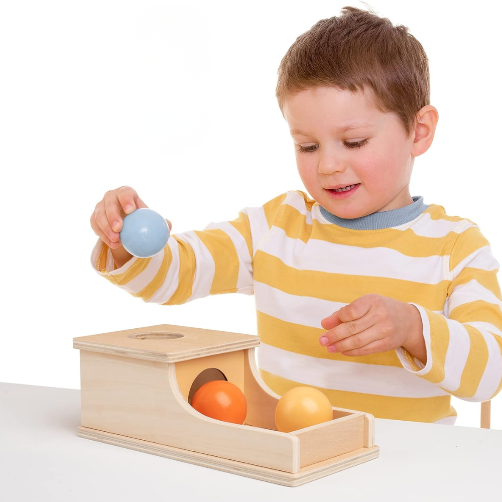 Wooden Drop & Retrieve Activity Box | Revangiol