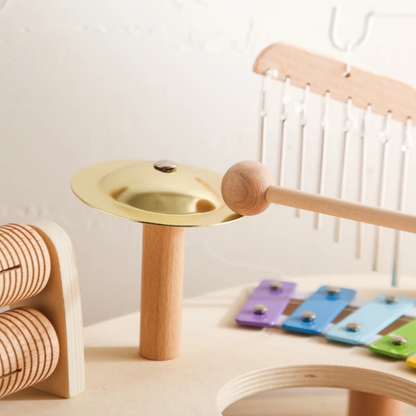 Toddler Rhythm & Musical Instrument Set | Revangiol