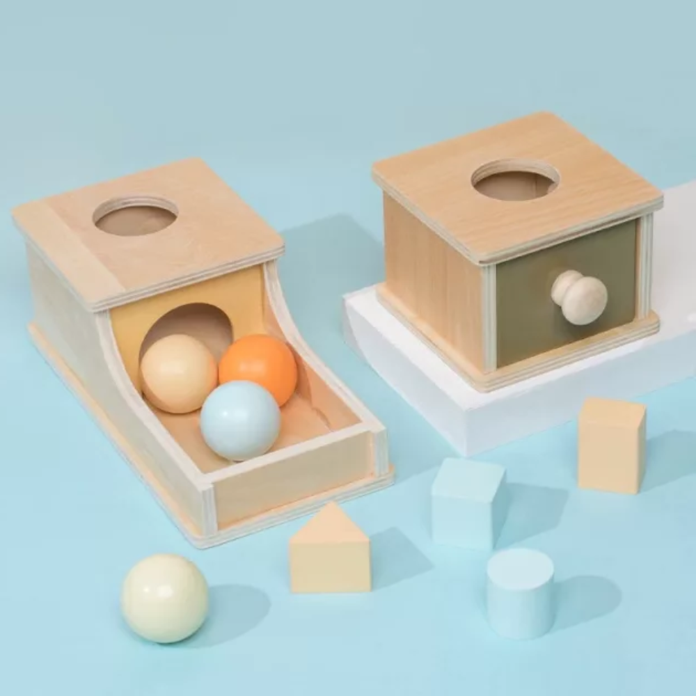 Wooden Drop & Retrieve Activity Box | Revangiol