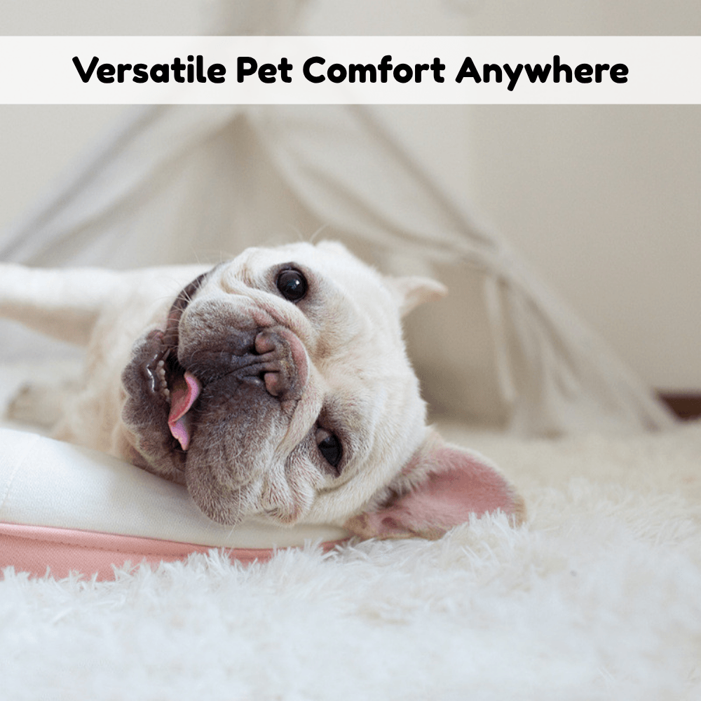 Calm Nest Cozy Pet Blanket | Revangiol