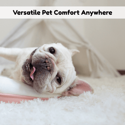 Calm Nest Cozy Pet Blanket | Revangiol