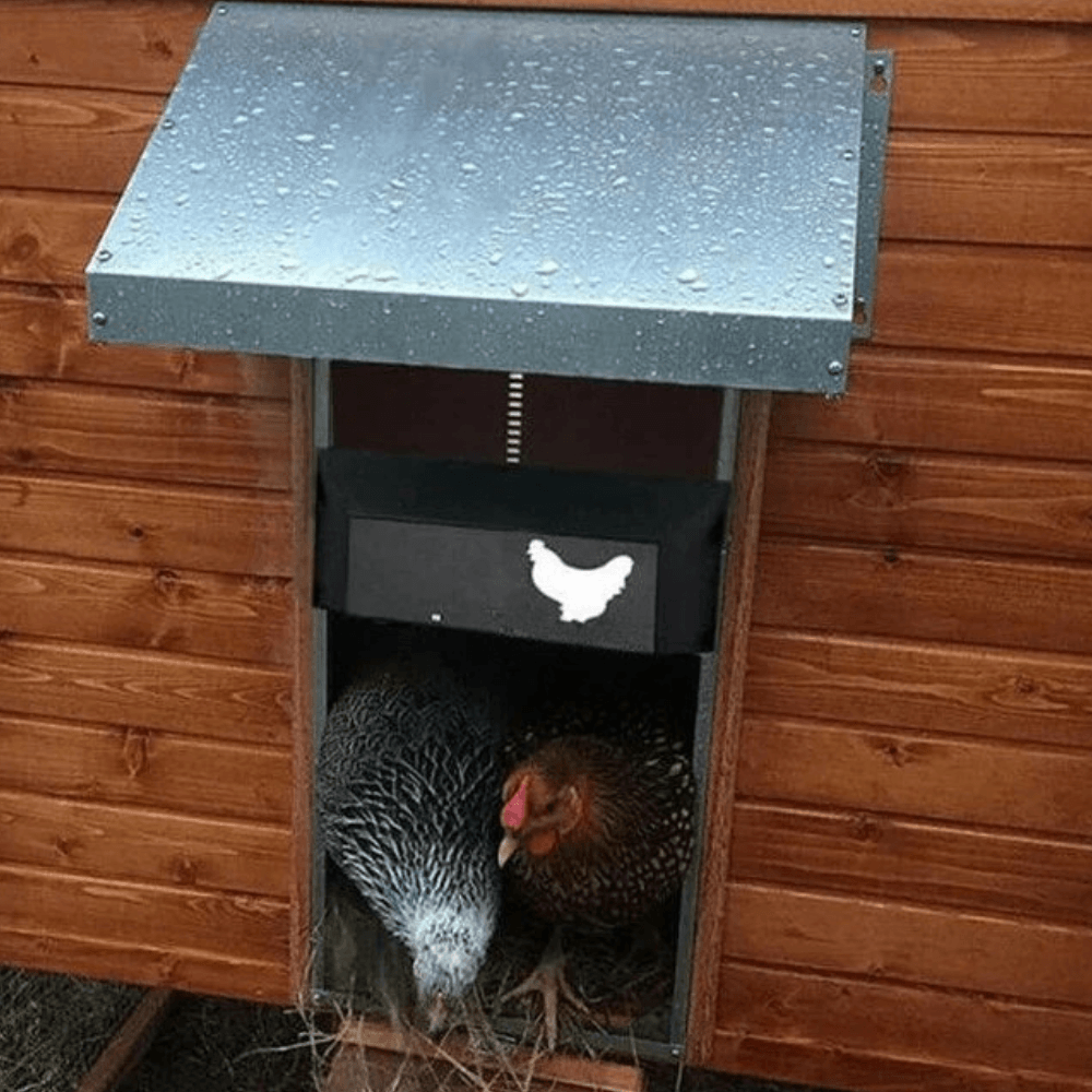 Smart Automatic Chicken Coop Door System | Revangiol