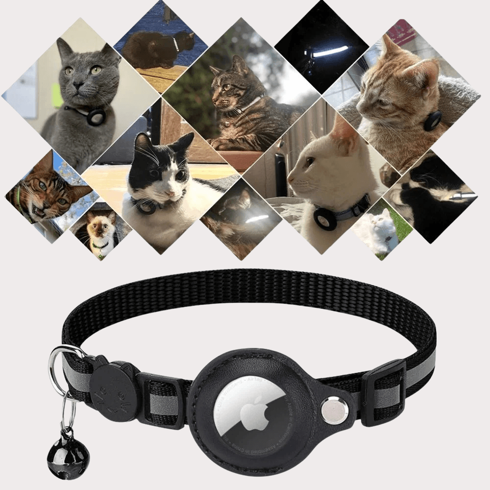 Reflective GPS Safety Cat Collar | Revangiol