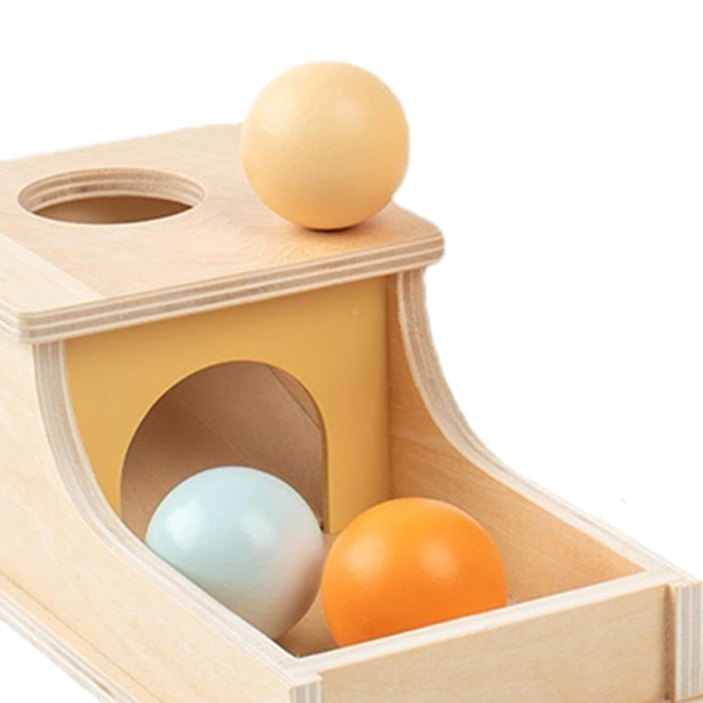 Wooden Drop & Retrieve Activity Box | Revangiol