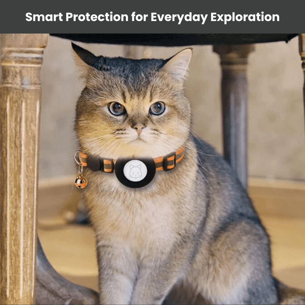 Reflective GPS Safety Cat Collar | Revangiol
