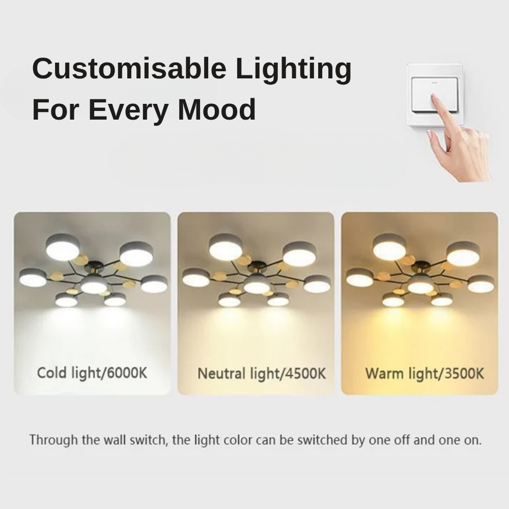 Sleek Circular LED Ceiling Fixture | Revangiol