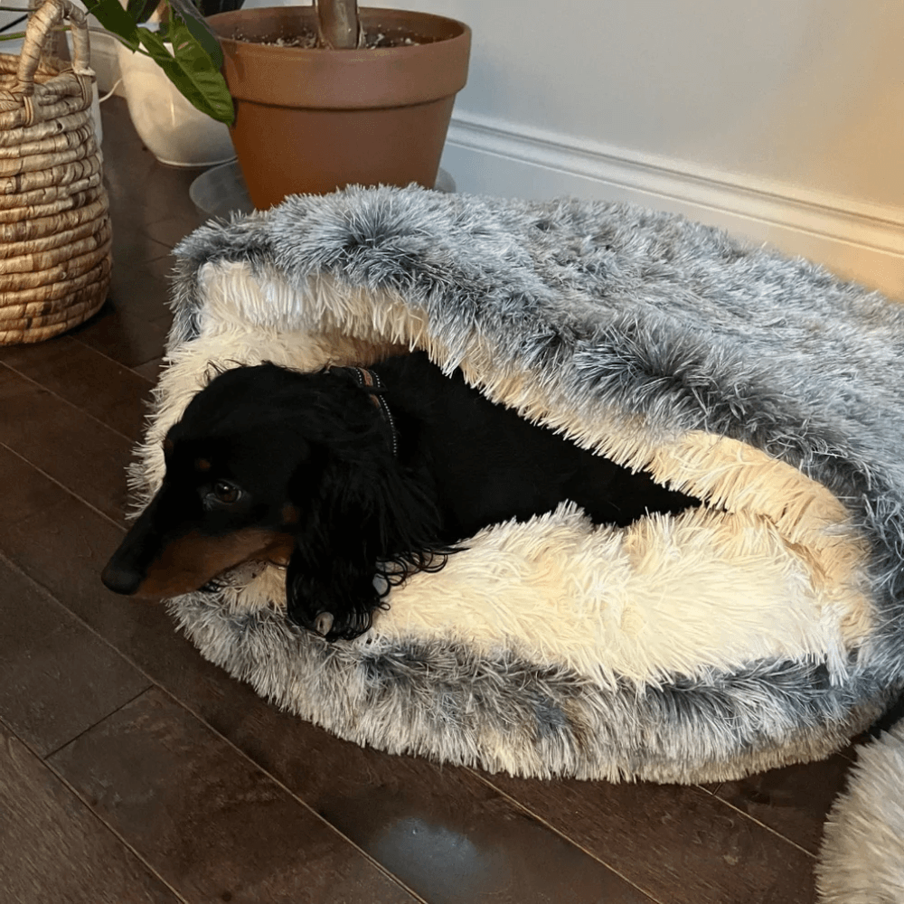 Plush Comfort Pet Cave | Revangiol