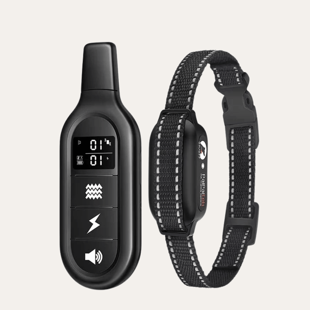 Remote + 1 Collar