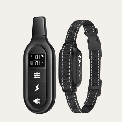 Waterproof Long Range Dog Training E-Collar | Revangiol
