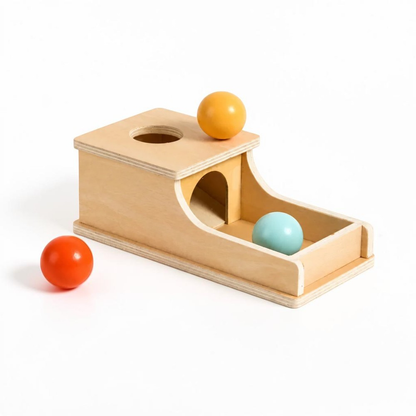 Wooden Drop & Retrieve Activity Box | Revangiol