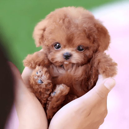 Realistic Smart Robotic Companion Puppy | Revangiol