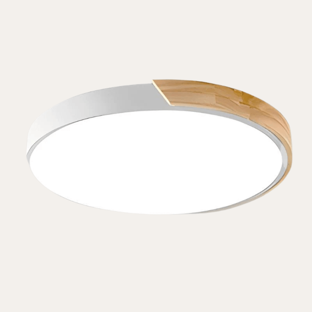 Minimalist Macaroon LED Ceiling Light | Revangiol