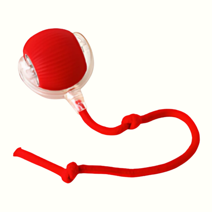 Active Pup Interactive Chew Ball | Revangiol