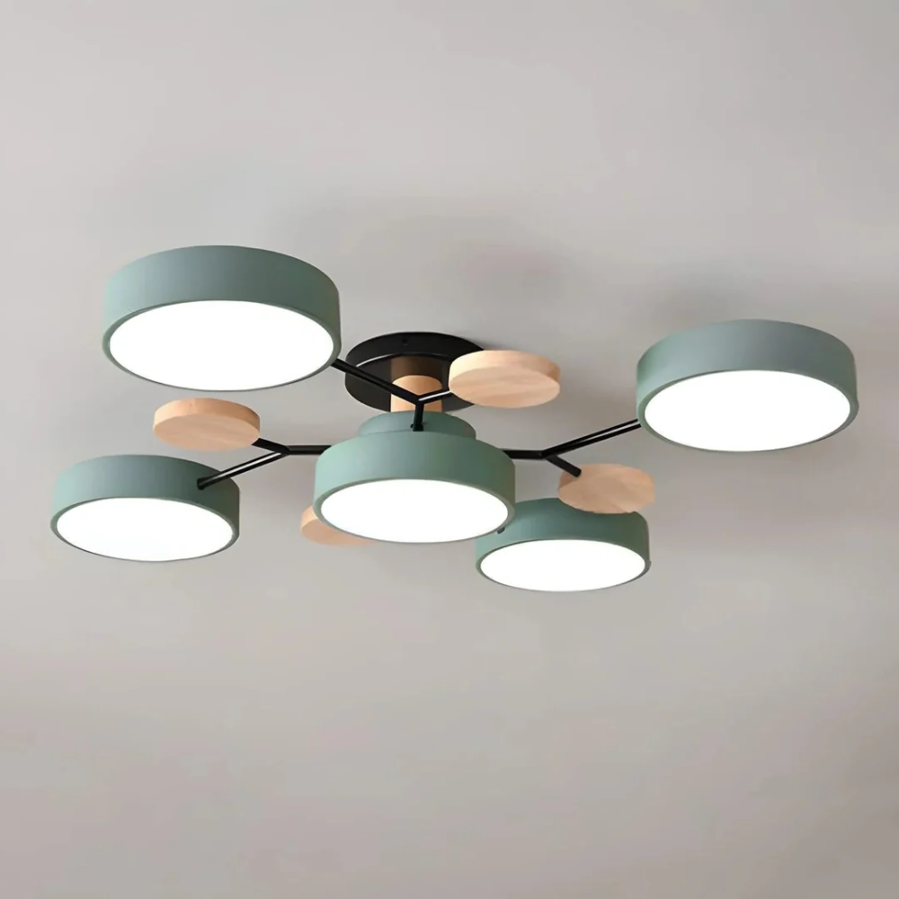 Sleek Circular LED Ceiling Fixture | Revangiol