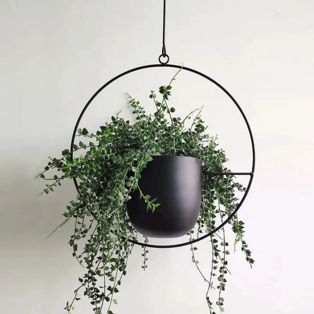 Nordic Style Plant Hanger | Revangiol