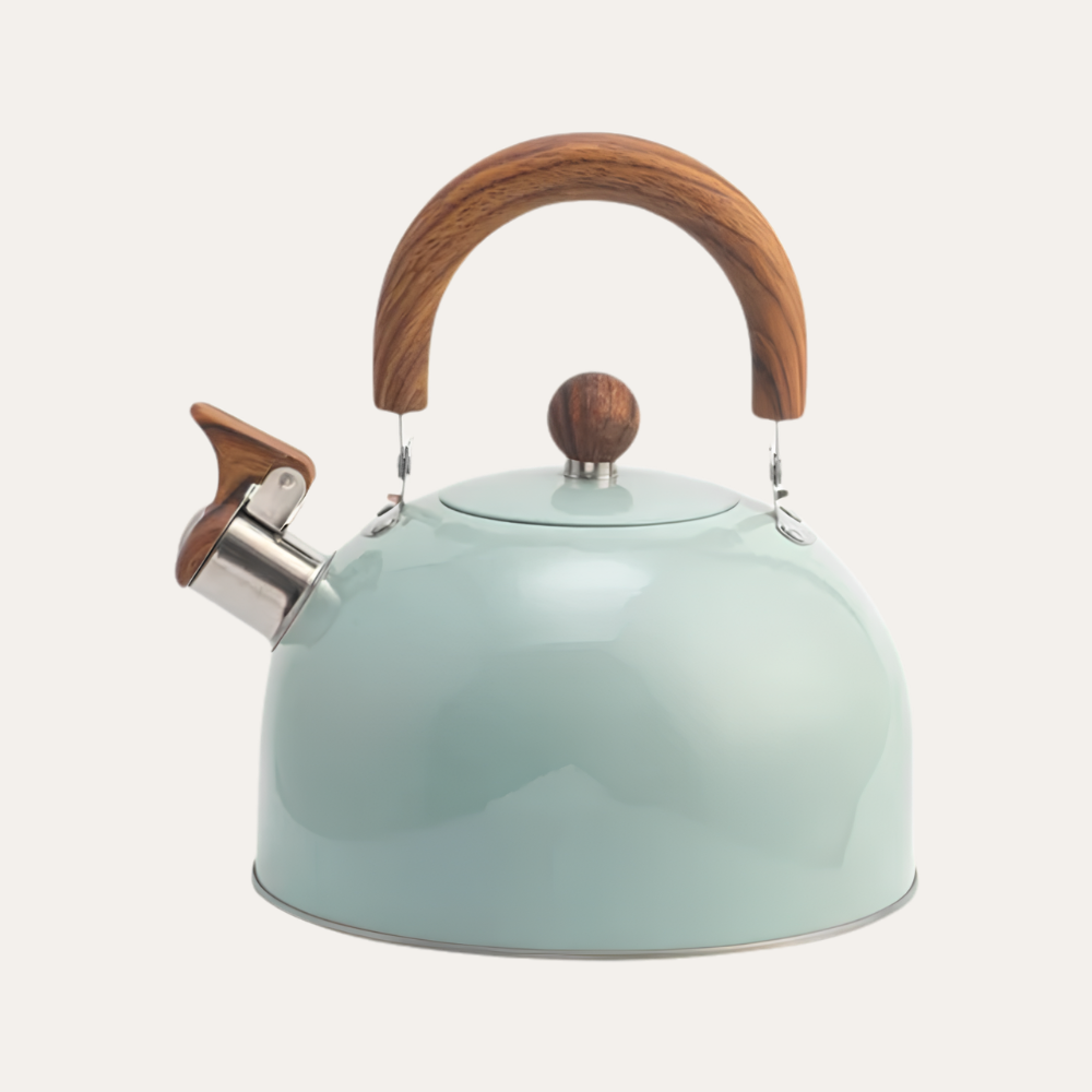 Premium Stainless Steel Whistling Kettle | Revangiol