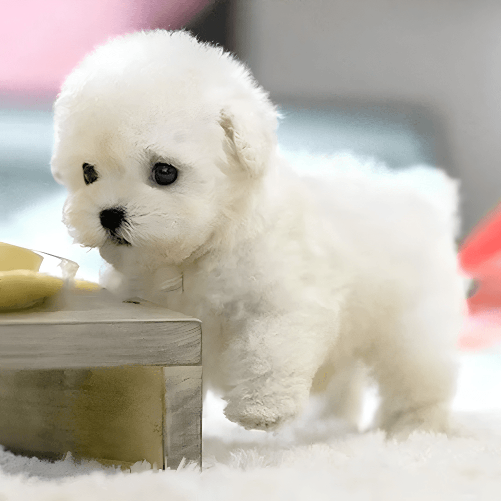 Realistic Smart Robotic Companion Puppy | Revangiol