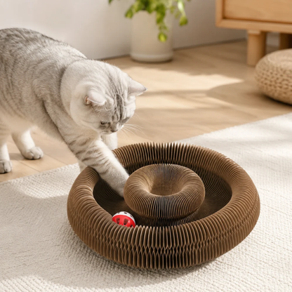 Multi-Shape Cat Scratcher Maze | Revangiol