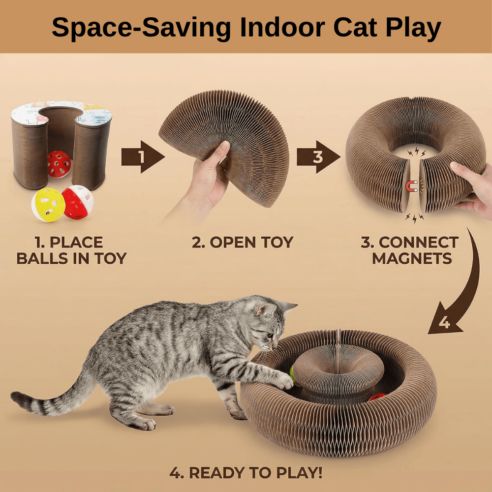 Multi-Shape Cat Scratcher Maze | Revangiol