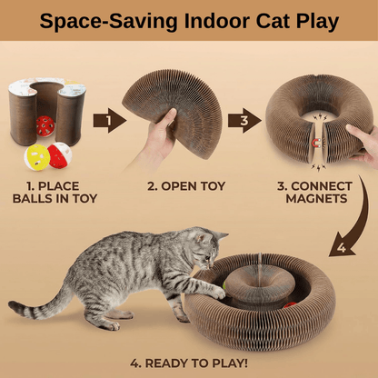 Multi-Shape Cat Scratcher Maze | Revangiol