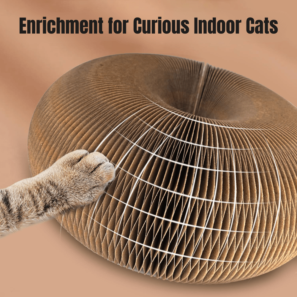 Multi-Shape Cat Scratcher Maze | Revangiol