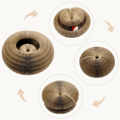 Multi-Shape Cat Scratcher Maze | Revangiol