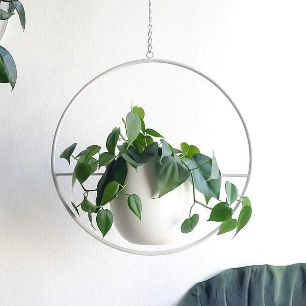 Nordic Style Plant Hanger | Revangiol