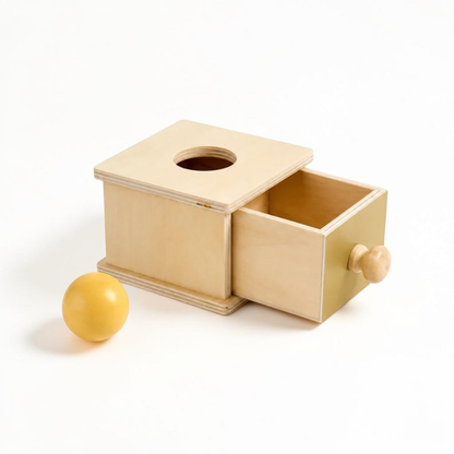 Wooden Drop & Retrieve Activity Box | Revangiol