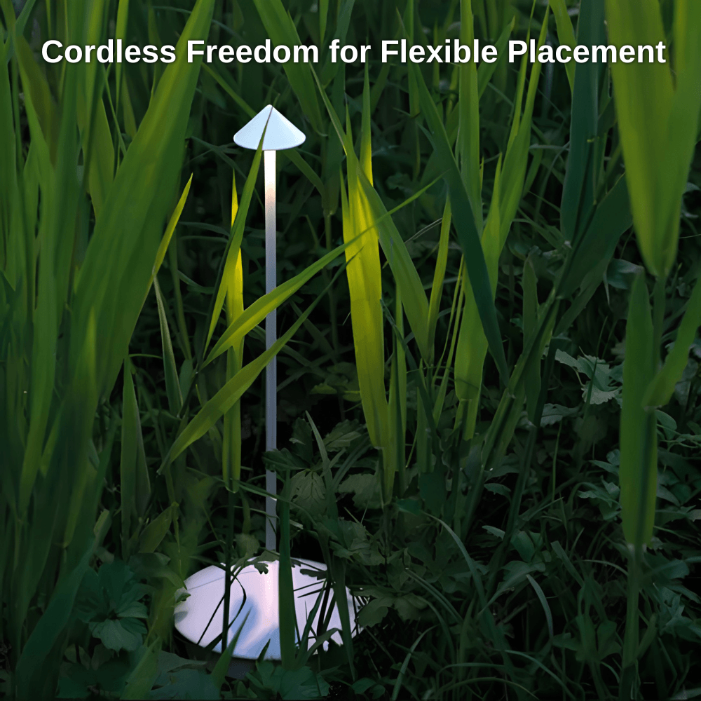 Cordless Table LED Lamp | Revangiol