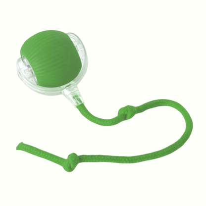 Active Pup Interactive Chew Ball | Revangiol