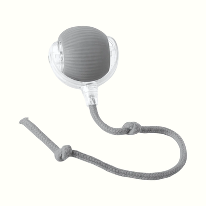 Active Pup Interactive Chew Ball | Revangiol