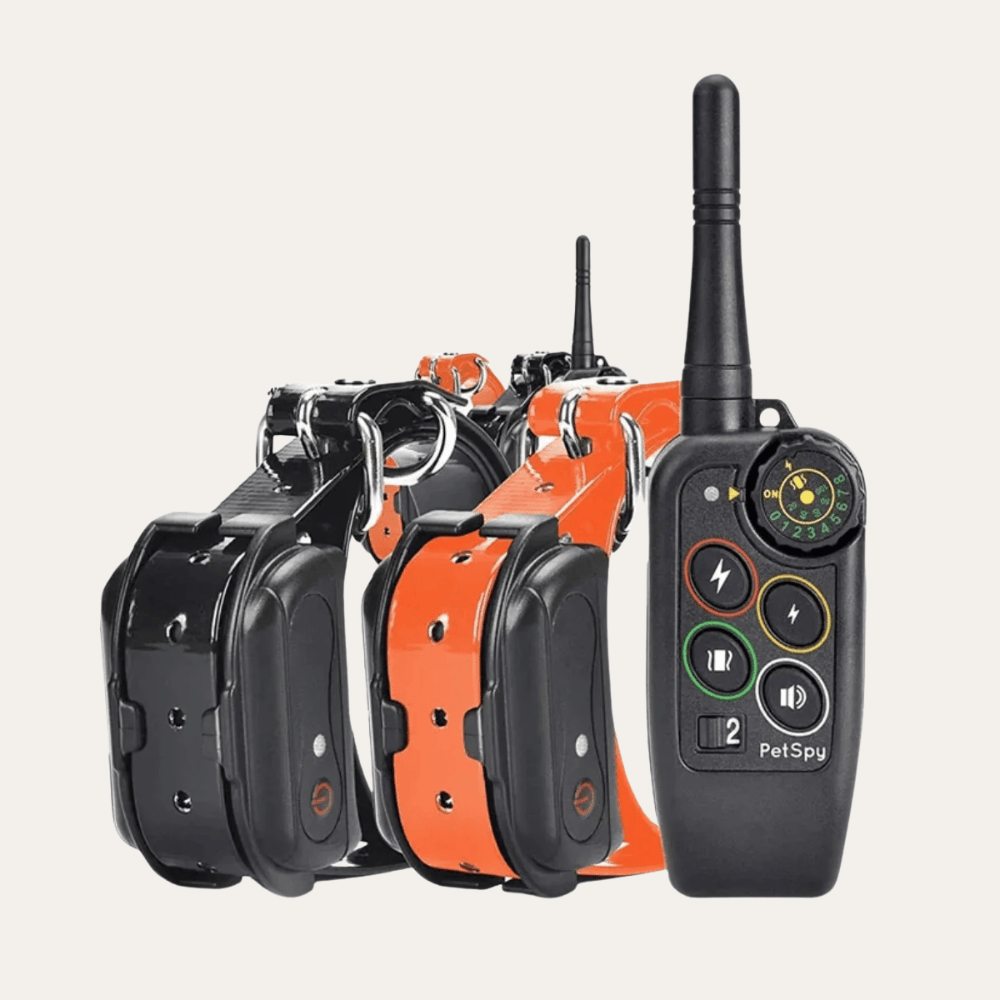 For2 Dogs | Black & Orange