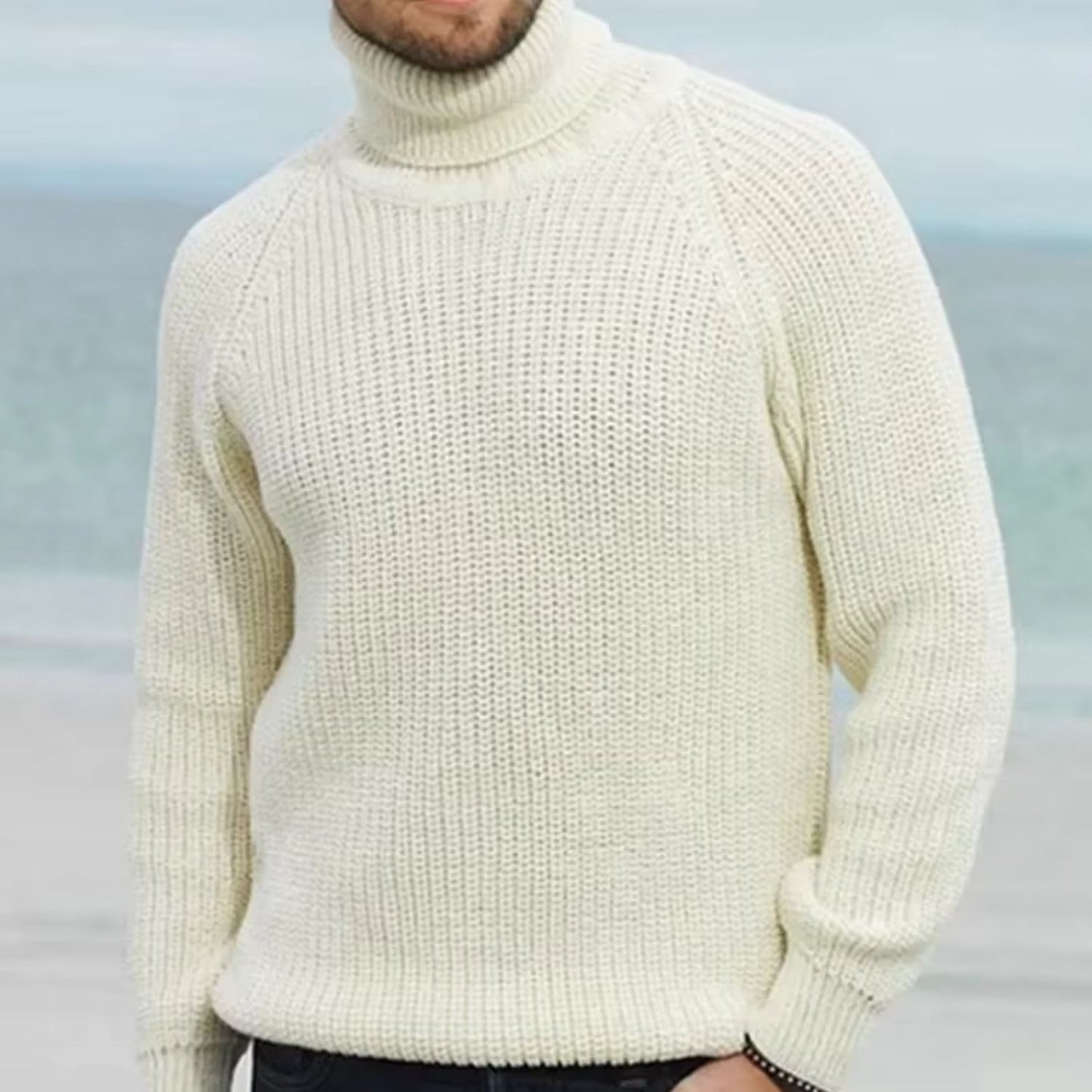 Warm Turtleneck Knit Sweater | Revangiol