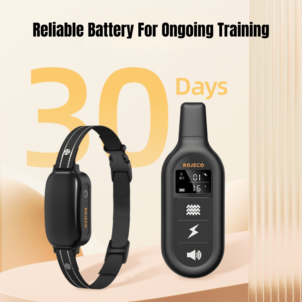 Waterproof Long Range Dog Training E-Collar | Revangiol