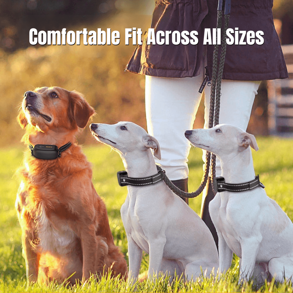 Waterproof Long Range Dog Training E-Collar | Revangiol