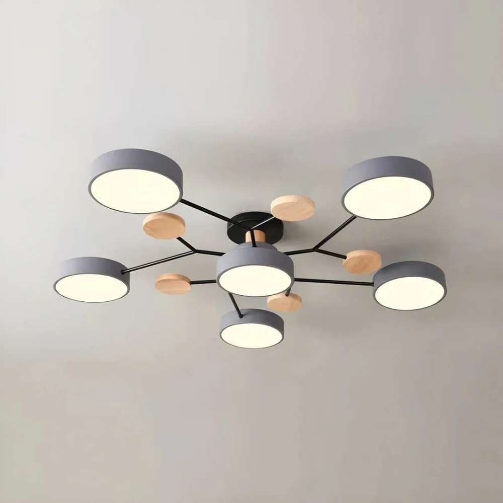 Sleek Circular LED Ceiling Fixture | Revangiol