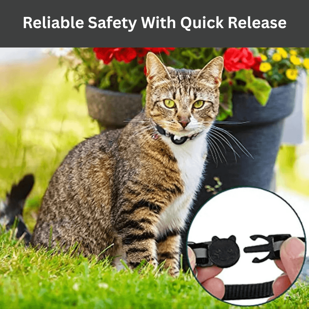Reflective GPS Safety Cat Collar | Revangiol