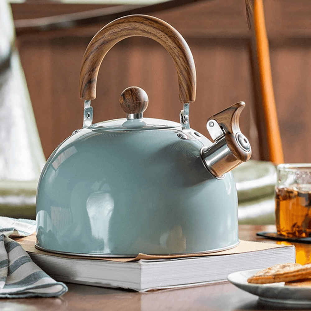 Premium Stainless Steel Whistling Kettle | Revangiol